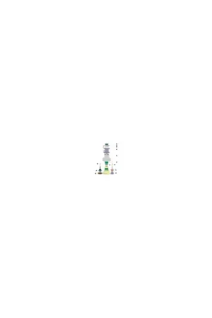 Veilige Betaling Pawl gear kit 1 of 2 div. modellen