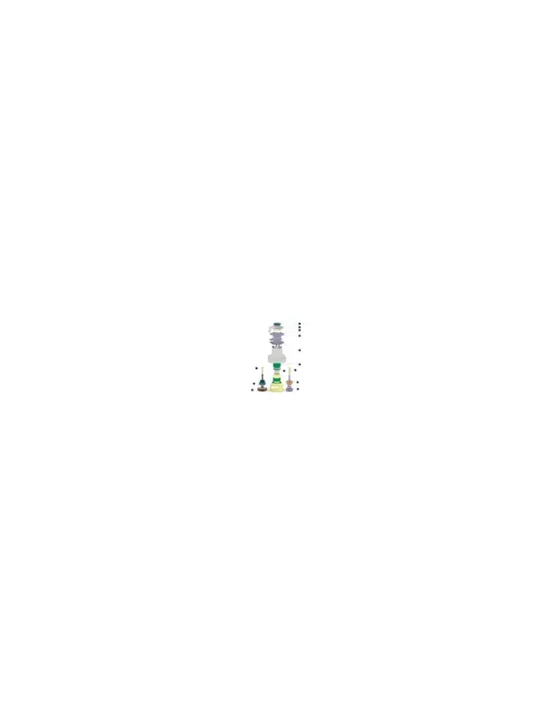 Veilige Betaling Pawl gear kit 1 of 2 div. modellen