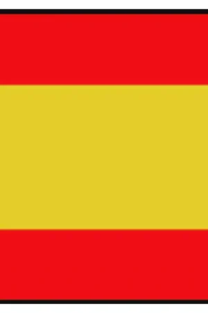 Nieuw Spaanse Vlag – 20x 30cm