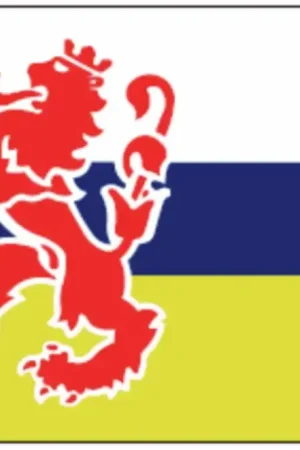 Limburgse Vlag – 20x 30cm Alleen Vandaag